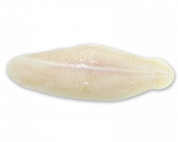 Frozen Dory Fish Fillet 冷藏珍珠魚片 Grazing (+/-): 10%, 20%, 50%