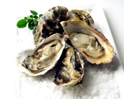 Half Shell Oyster Meat 半壳生蠔