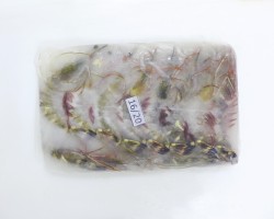 Tiger Prawn 老虎虾 (Fresh / Frozen)